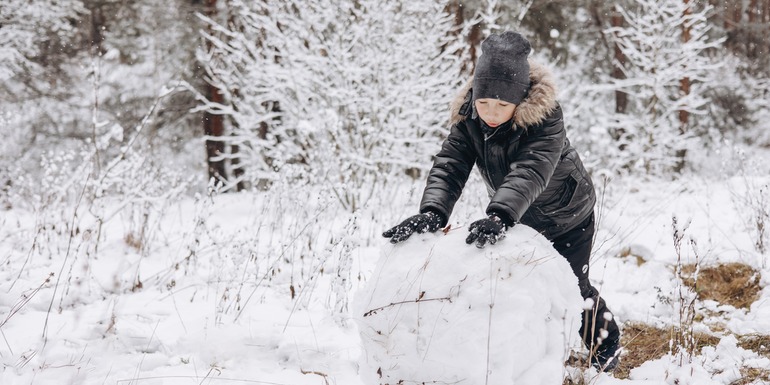 The Snowball vs. The Avalanche